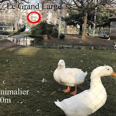 3* Balcon Vue Commerces Et A 100m Apartment Annecy